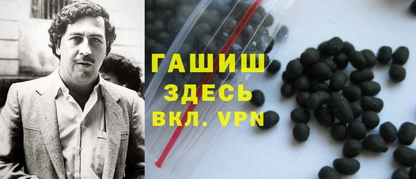 ешки Алексин