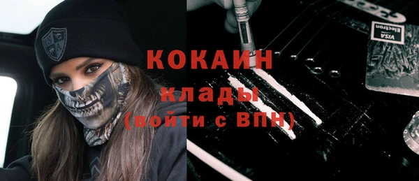 ешки Алексин