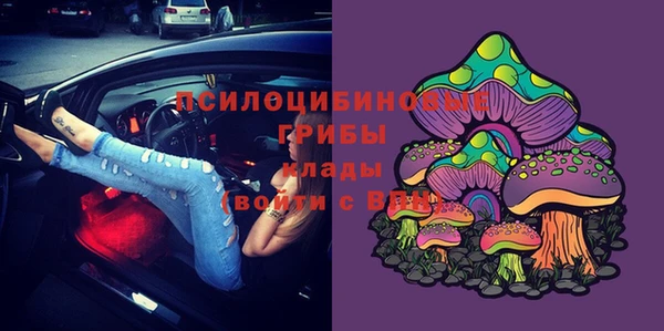 ешки Алексин
