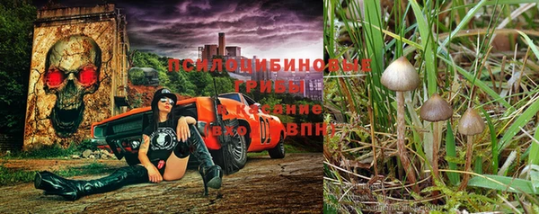 гидропоника Алзамай