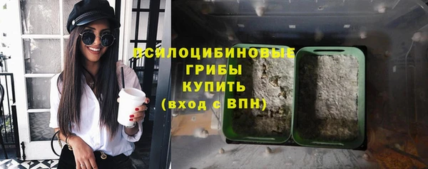 ешки Алексин