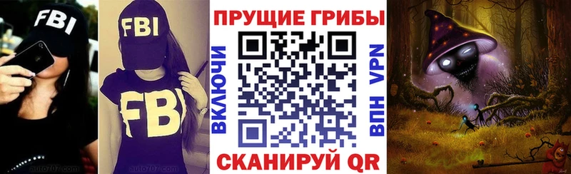 купить   Морозовск  Галлюциногенные грибы GOLDEN TEACHER 