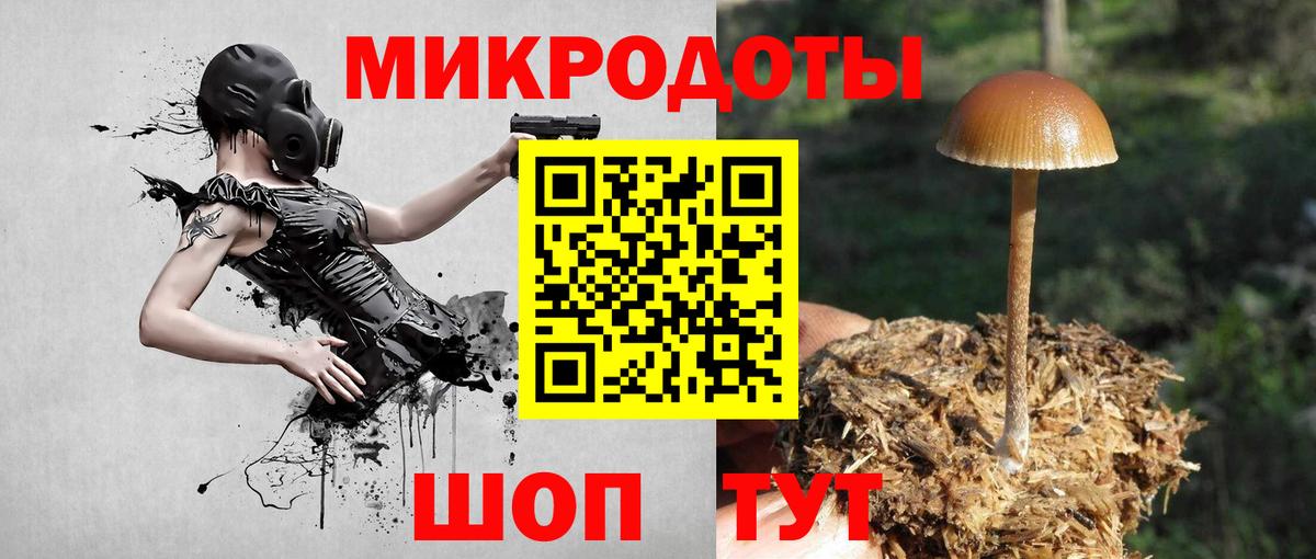Псилоцибиновые грибы прущие грибы Морозовск